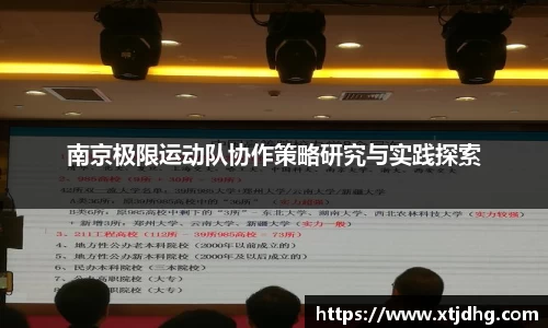 南京极限运动队协作策略研究与实践探索