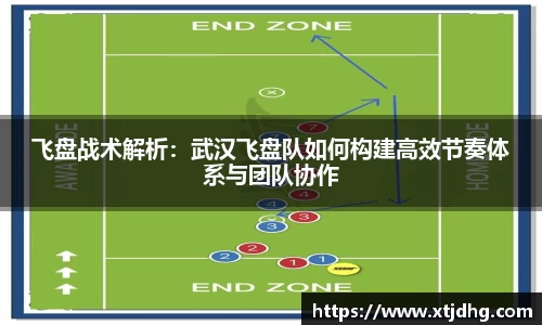 飞盘战术解析：武汉飞盘队如何构建高效节奏体系与团队协作
